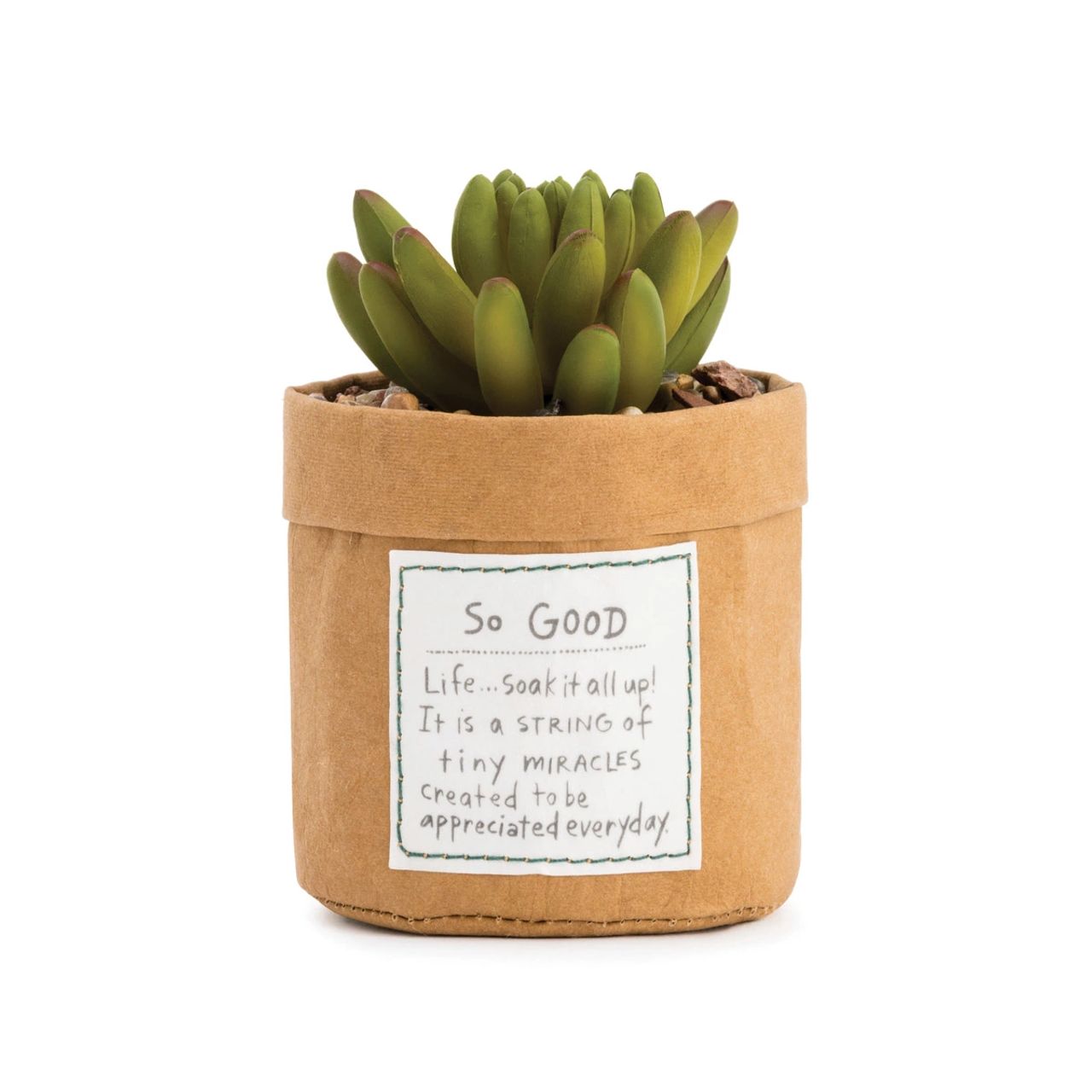 Lori Siebert Plant Kindness - So Good  Lori Siebert combined inspiration from the row of succulents on her daughter's windowsill with her whimsical, artistic celebration of life to form the Plant Kindness collection. Give Plant Kindness - So Good to someone who lives life joyfully or is in need of cheering up.