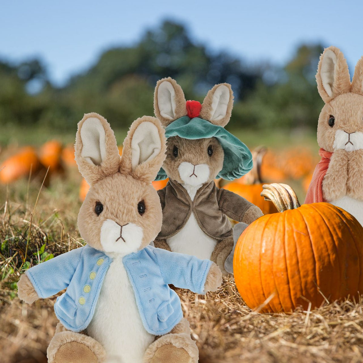Peter Rabbit Jumbo Peter Rabbit Extra Large Soft Toy – Horgan's of Blarney