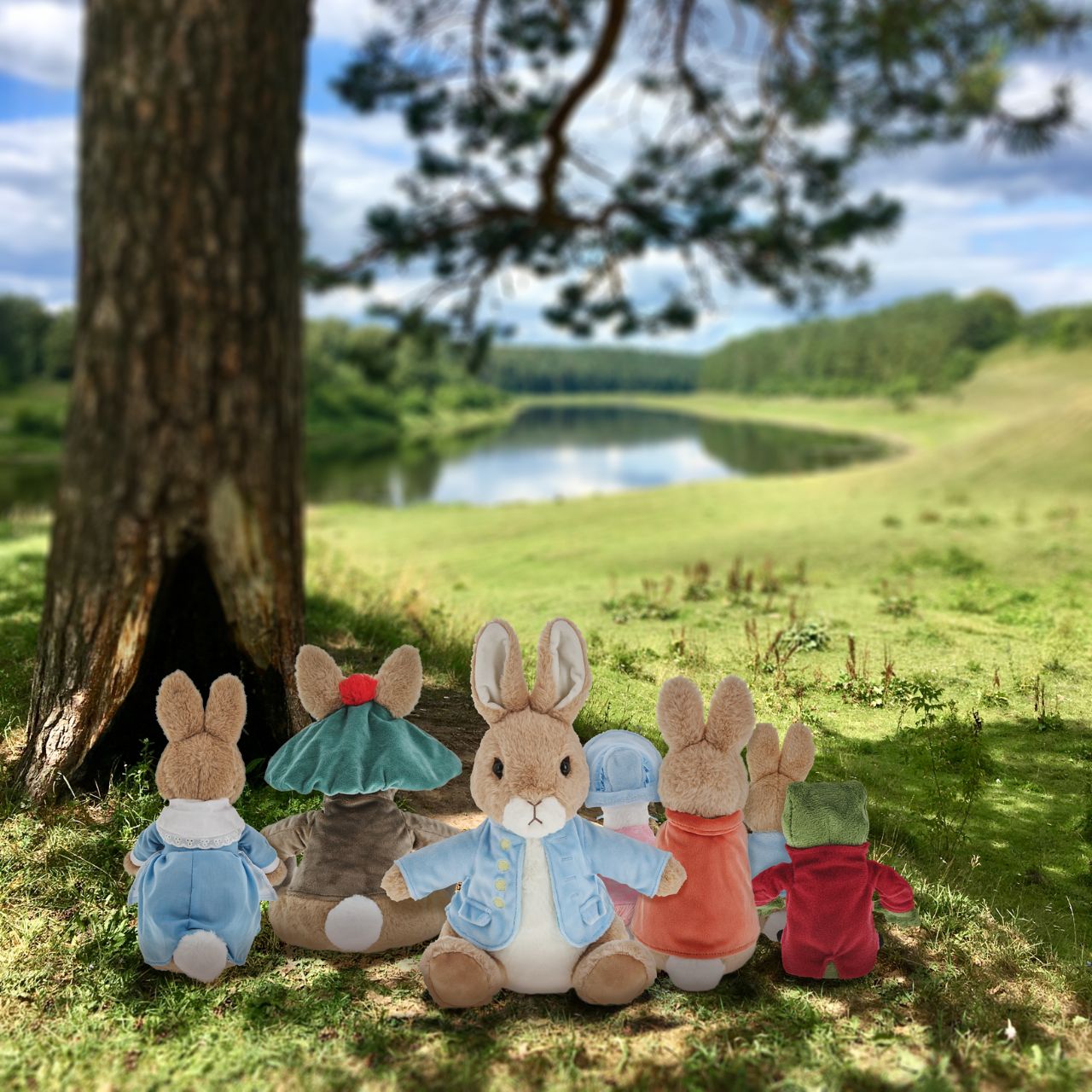 Beatrix Potter Peter Rabbit Large  This Peter Rabbit soft toy is made from beautifully soft fabric and is dressed in clothing exactly as illustrated by Beatrix Potter, with his signature blue jacket. The Peter Rabbit collection features the much loved characters from the Beatrix Potter books and this quality and authentic soft toy is sure to be adored for many years to come.