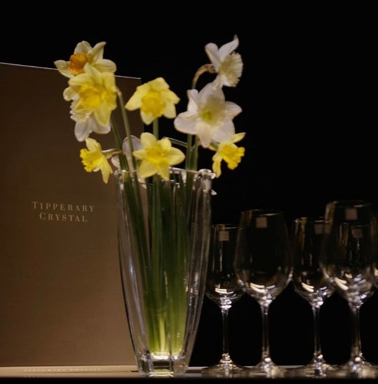 Tipperary Crystal Prestige Wine Glasses Set